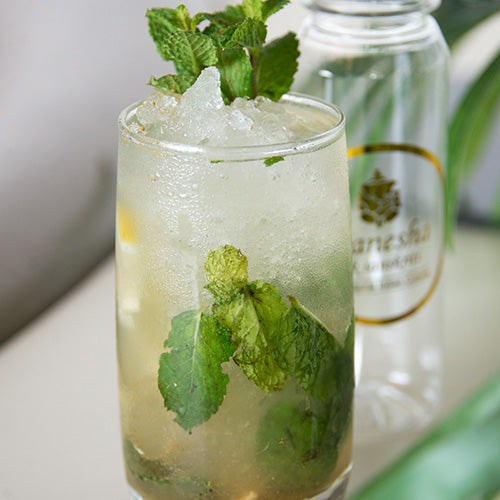 A refreshing glass of Ganesha Lemonade, a traditional Indian lemonade with a twist of mint